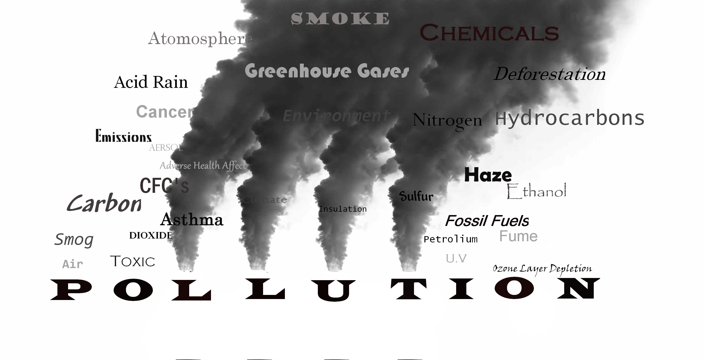 pollution introduction