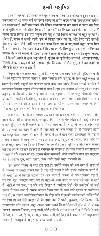 cruelty animals essay cruelty animals essay