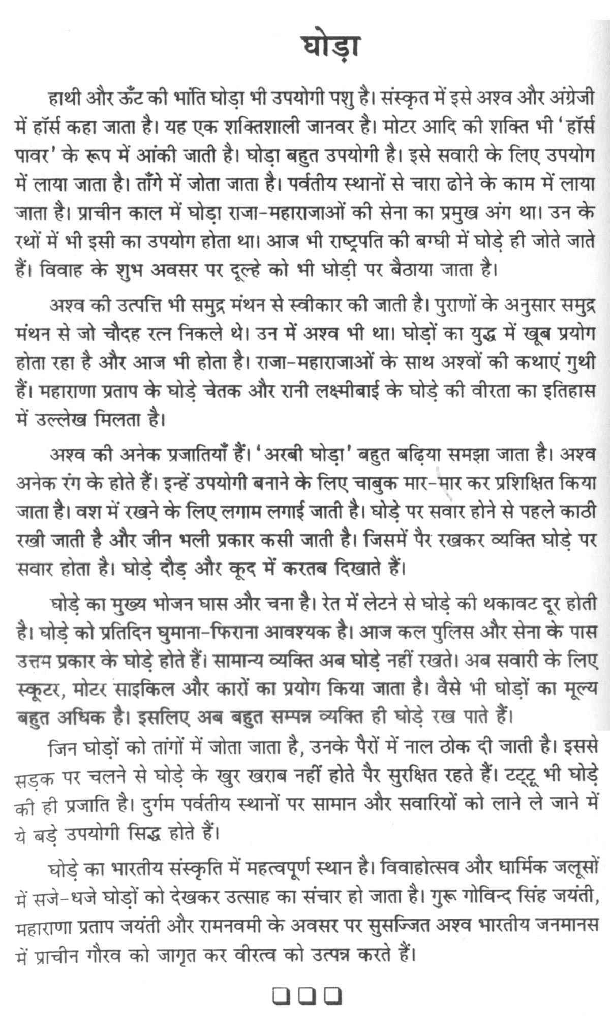 college essay on horses college essay on horses