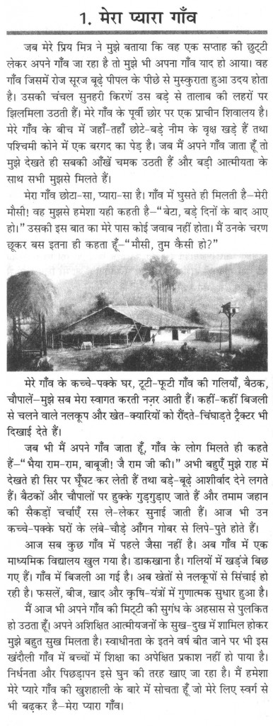 Essay my village