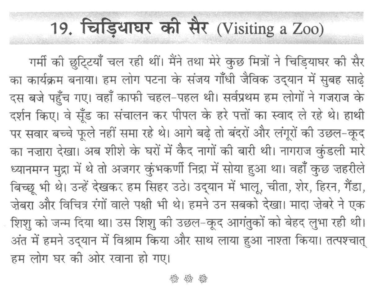 Trip to zoo essay