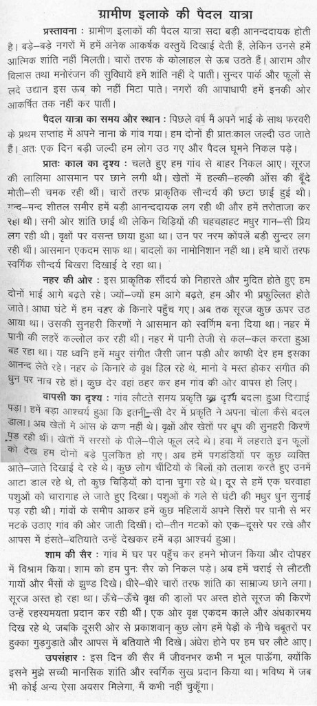 FREE Importance of Books Essay