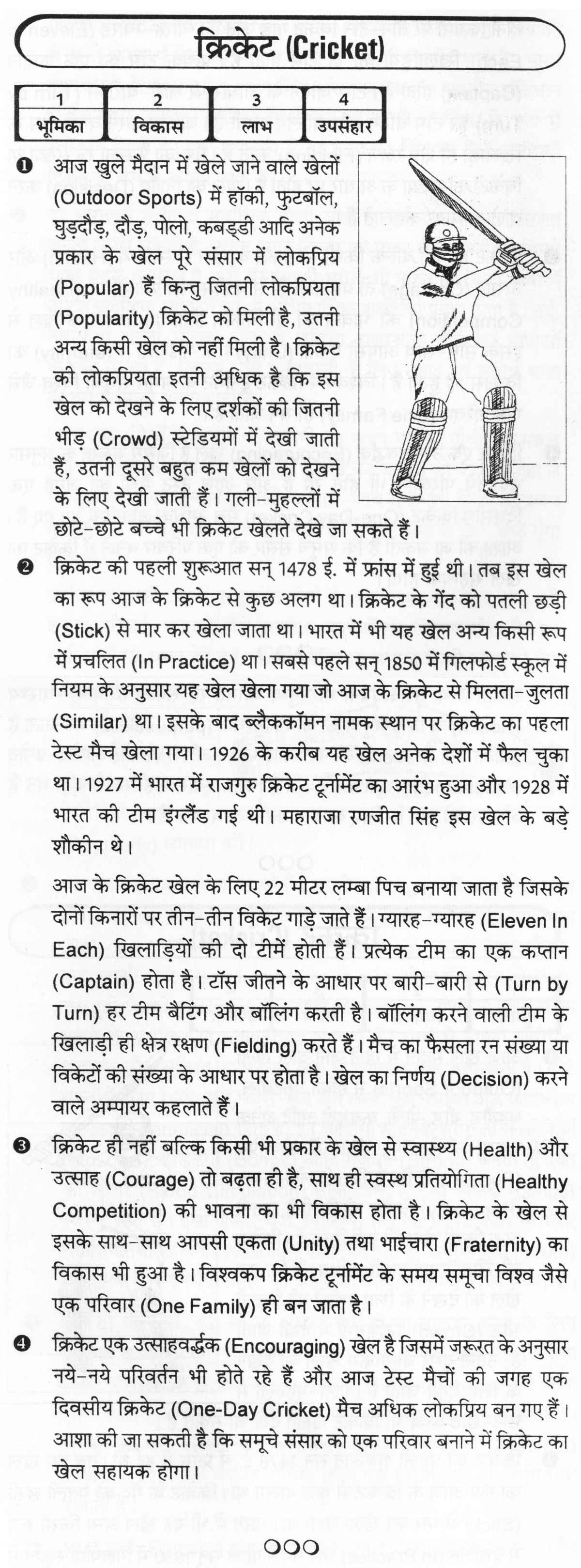 essay in hindi language