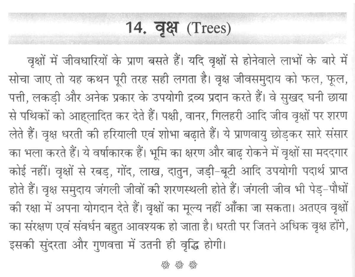 Essay should children given pocket money