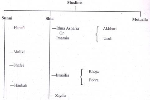 Difference Between Sunni And Shia Chart