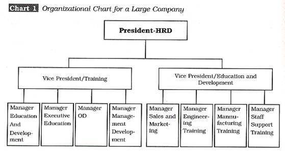 Different organizational structures for essays