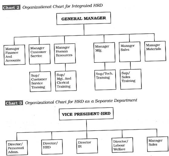 Hypothetical Organization Chart